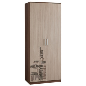 Шкаф двухстворчатый Колледж